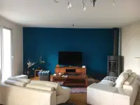 Peinture mur bleu canard