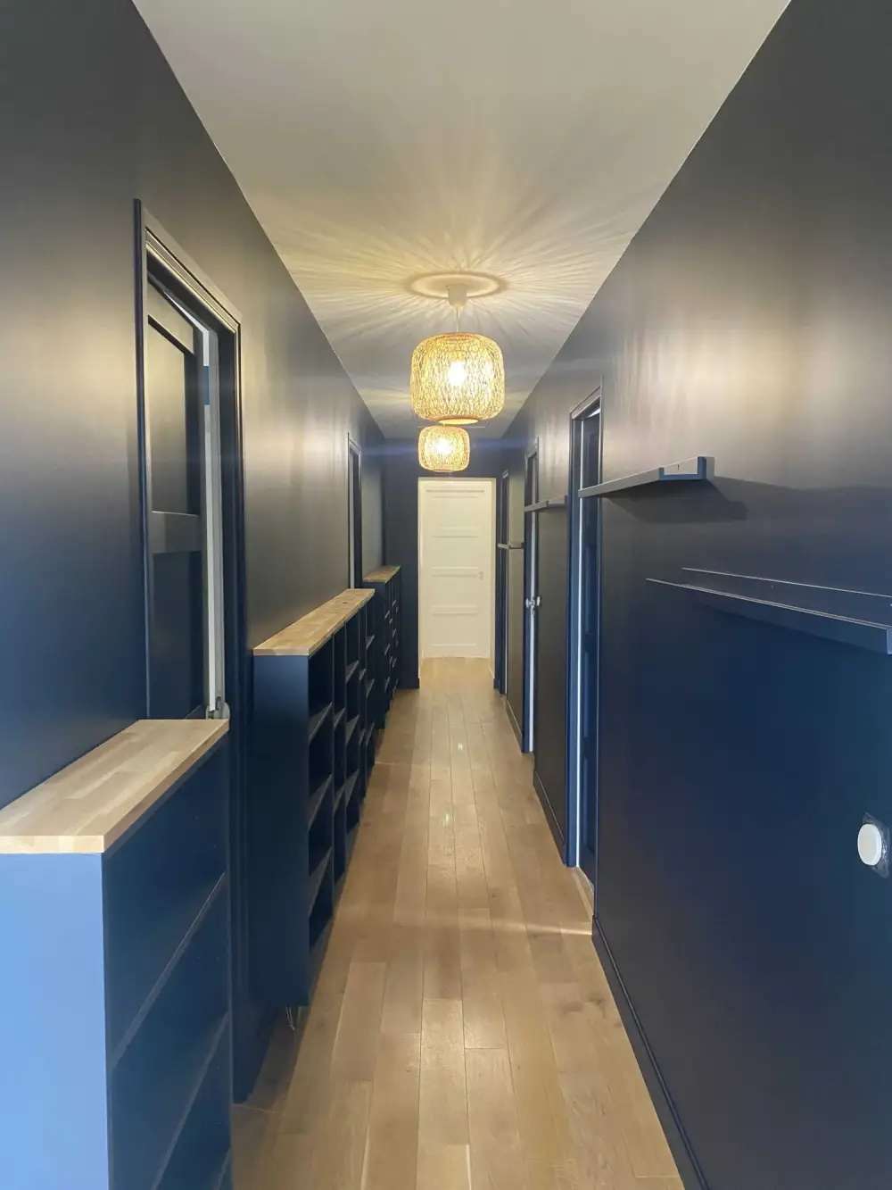 Mise en peinture de la maison (1)
